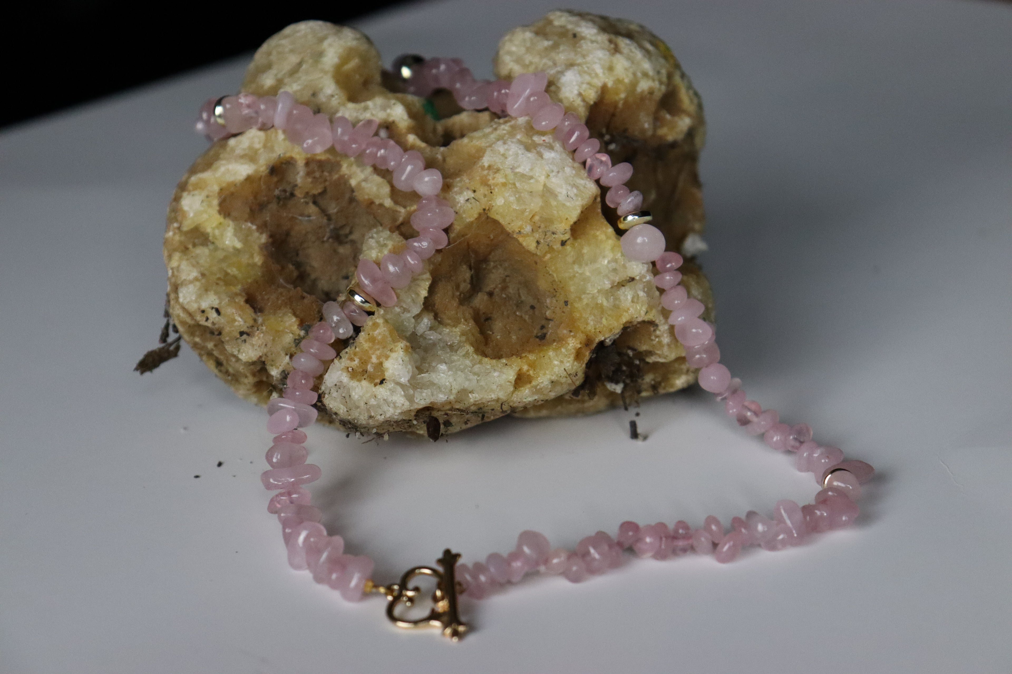 Eternal Rose Necklace