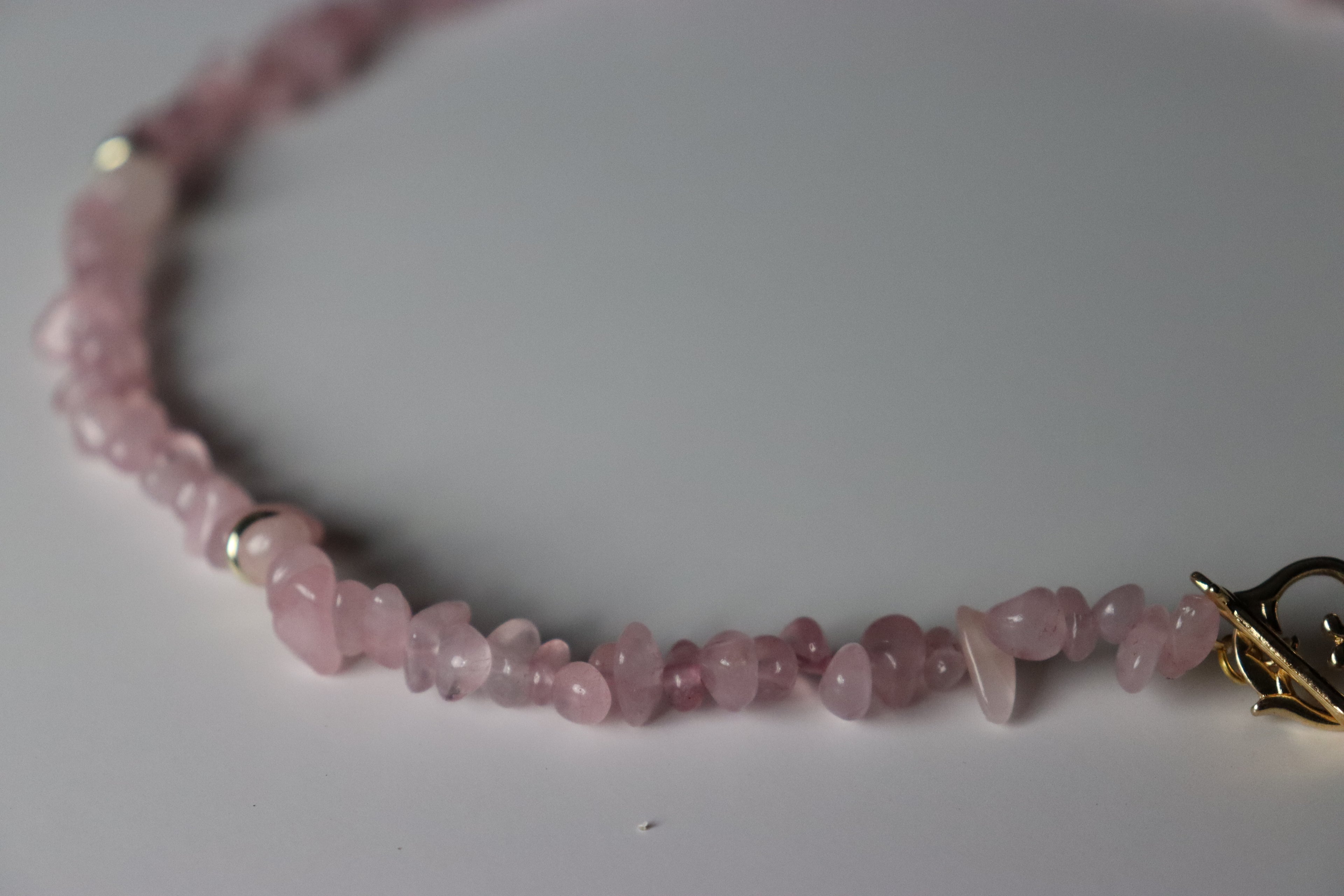 Eternal Rose Necklace