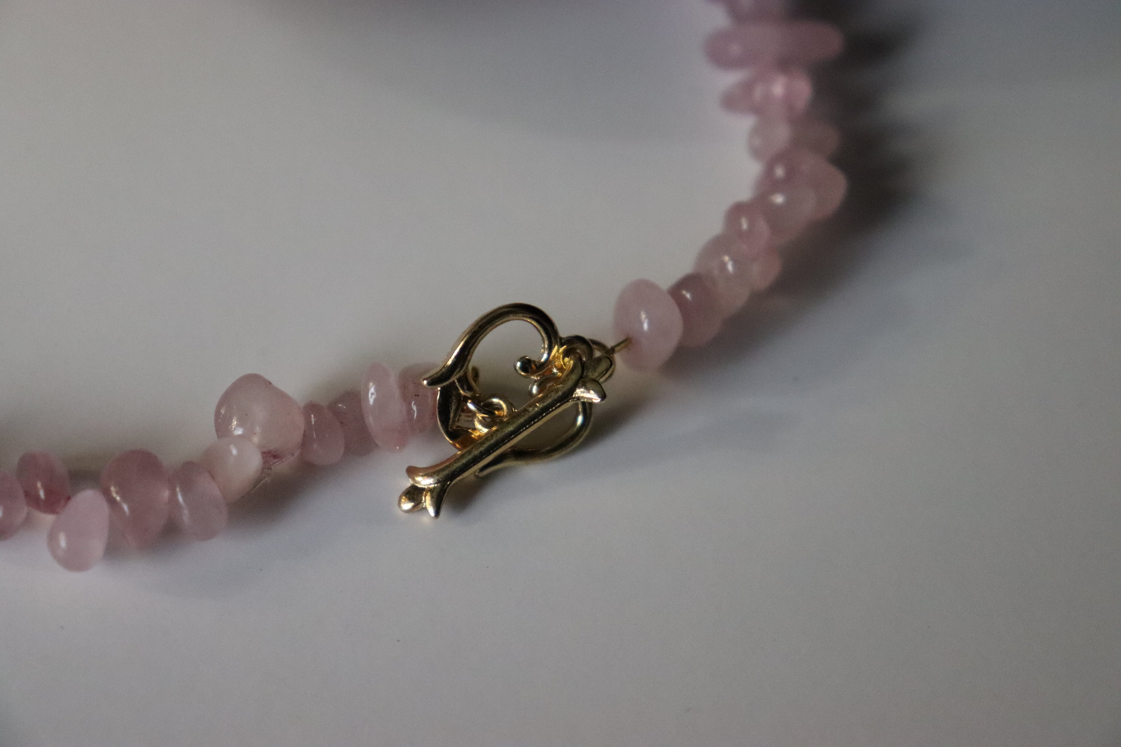 Eternal Rose Necklace