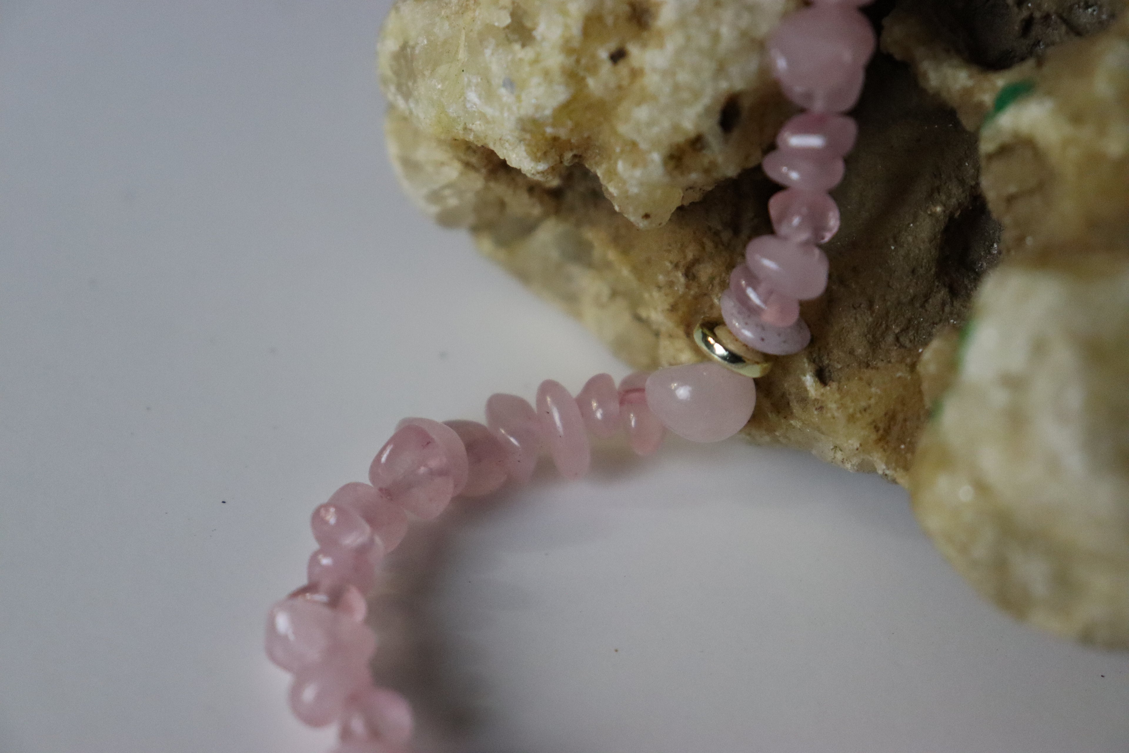 Eternal Rose Necklace